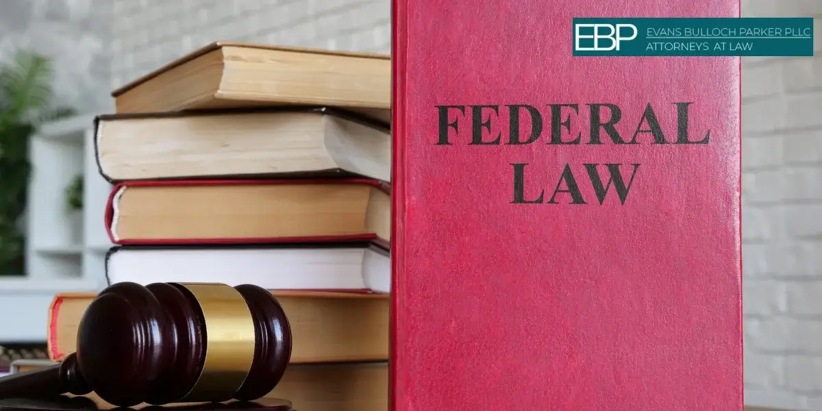 Federal vs. State Crimes in Tennessee: What Are the Differences? 2025